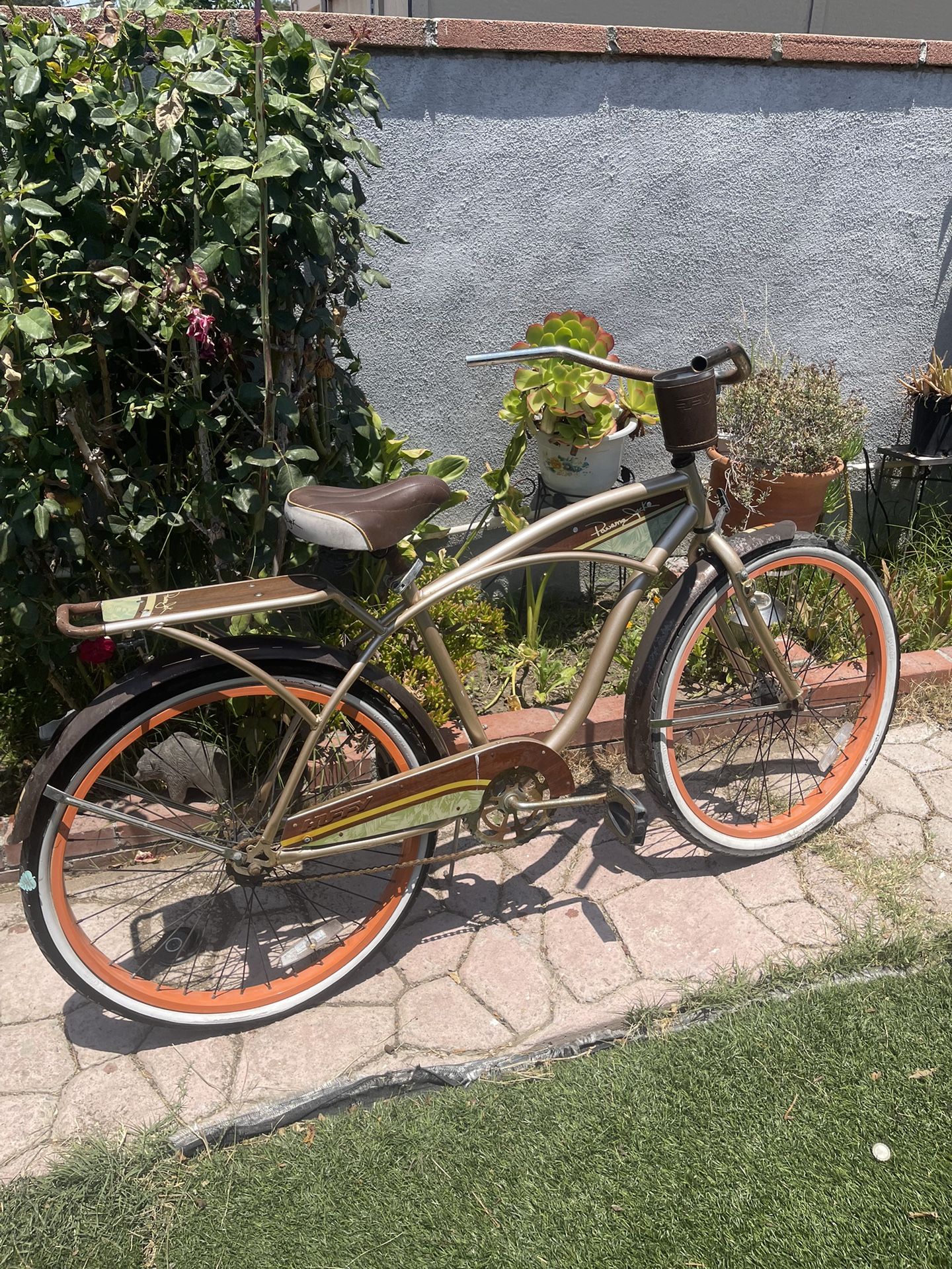 beach cruiser bike