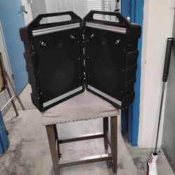 Peavey Mini Monitors.  
