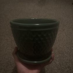 Plant Pot
