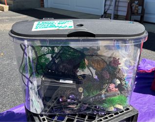 Fish Tank