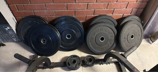 Gym Weight Set Bumper Rogue