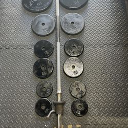 Weight Plates / Bar.            100 Dollars 