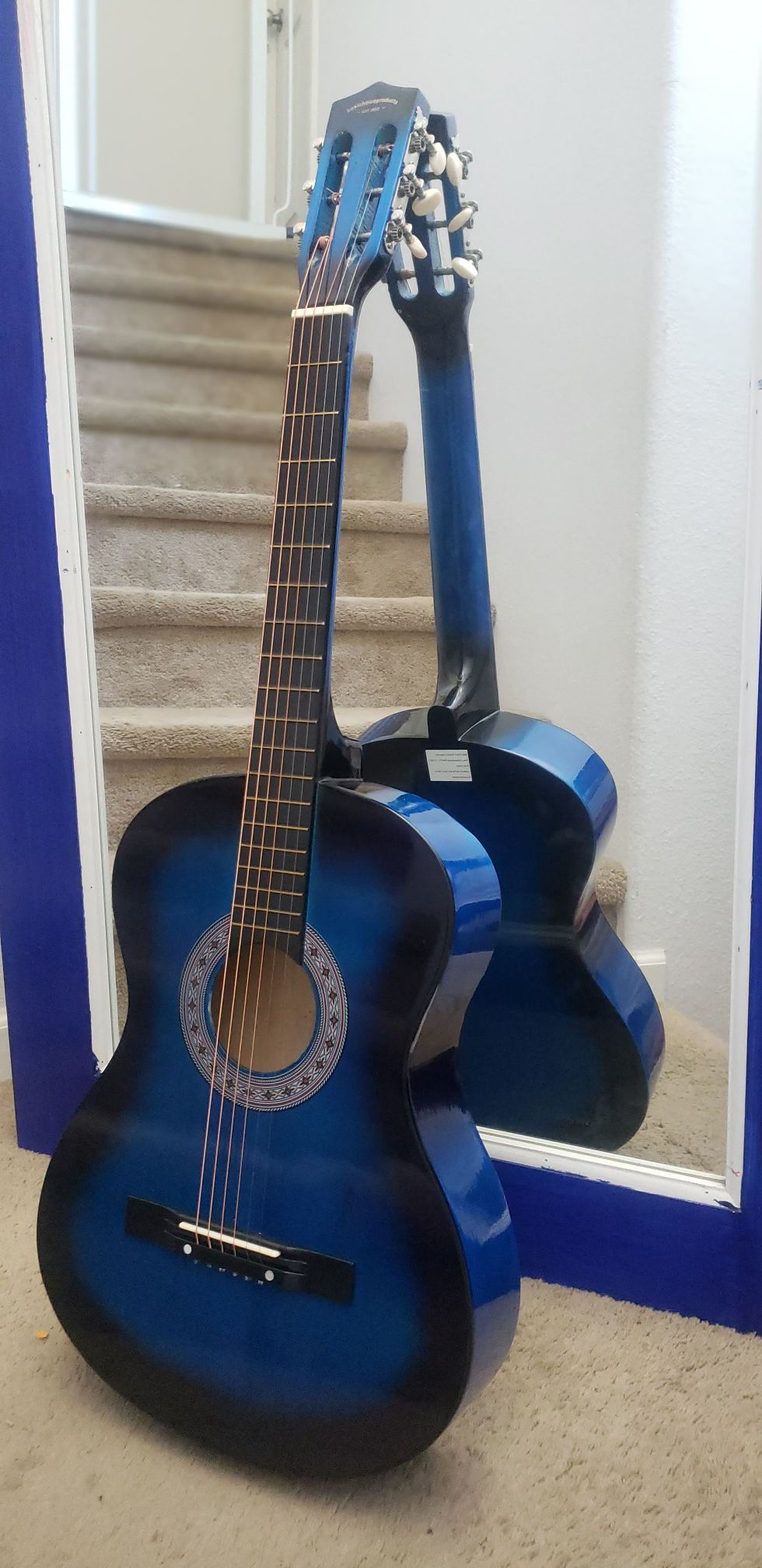 Guitar