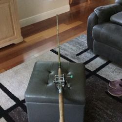 6 ft. 6inchMontague Rod, and Penn 309 Leveline Reel