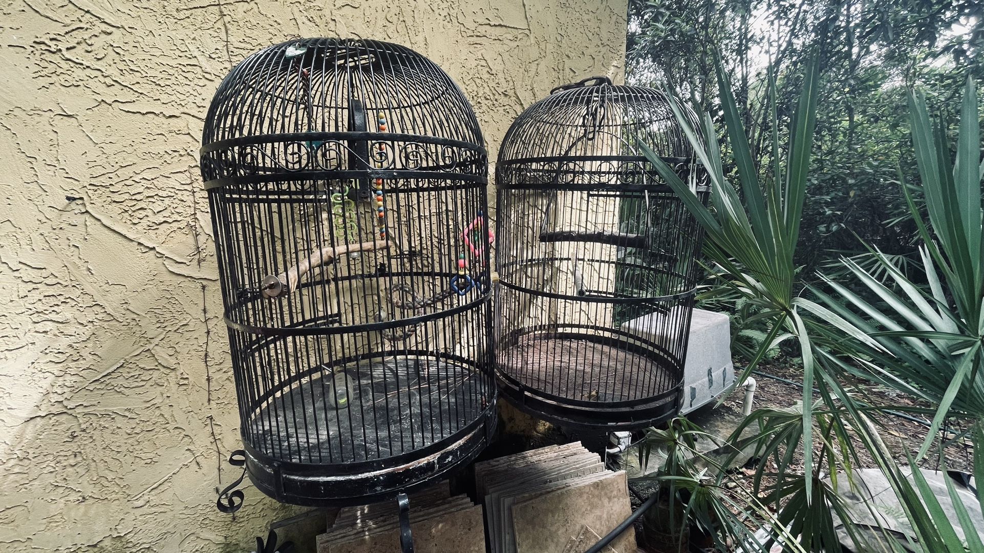 Cages $200.00 EACH, CASH TEXT FOR PRICES. 