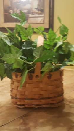 Decorative artificial plant
