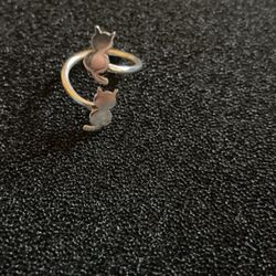 Anillo De Plata