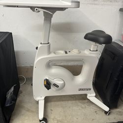 Barely Used, Flexispot Desk Bike