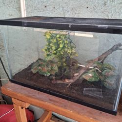 15 Gallon Forest Reptile Tank Set Up