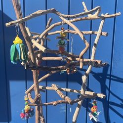 Parrot Perch Tree - Made Of Hard Durable Ribbon Wood - Looks Great In The House …-a Great Socializer !