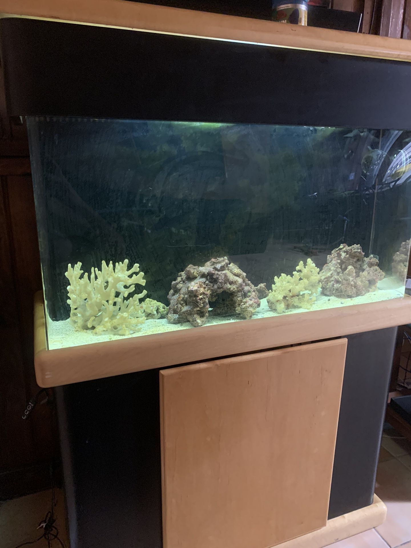 Salt water fish tank 40 gallon