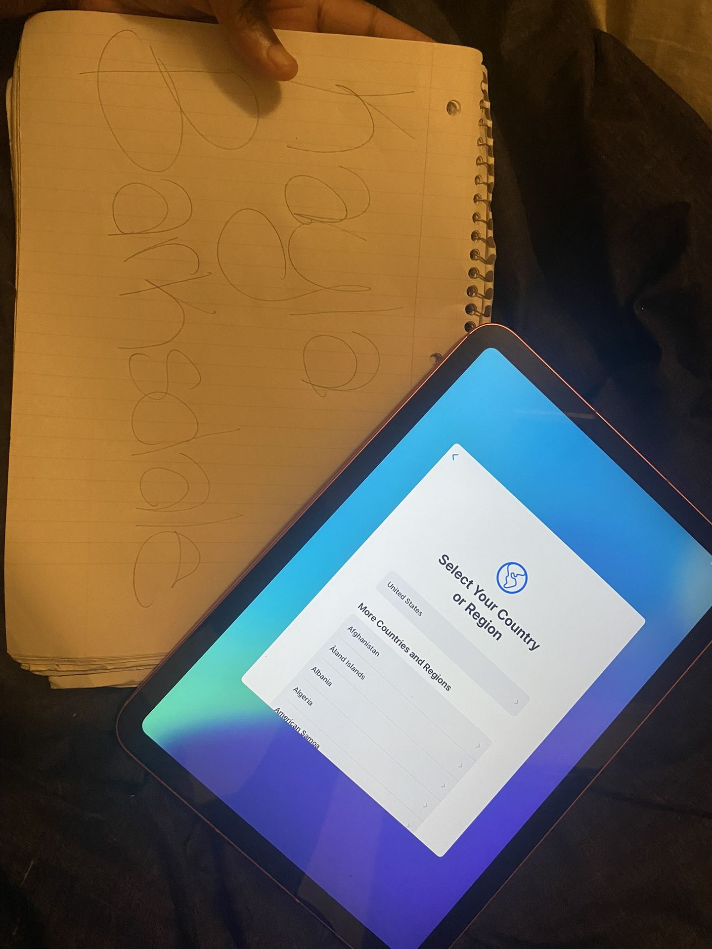 Pink iPad ( ACCEPTING OFFERS )