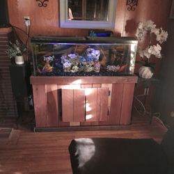 Fish Tank And Stand
