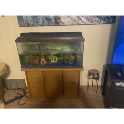 30 Gallon Fish Tank