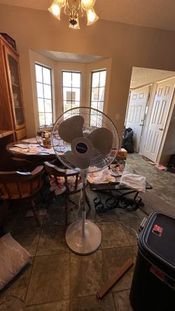 Fan