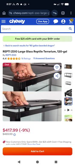 Bearded Dragon Supplies and terrarium