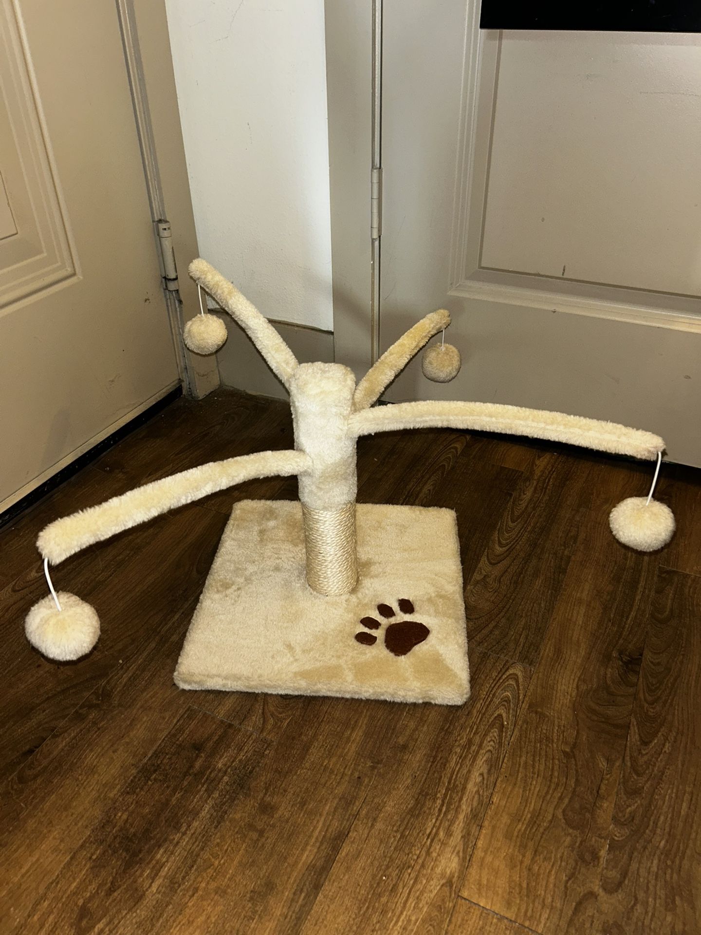 Cute Novelty Cat Scratcher 