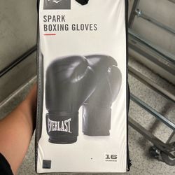 Everlast boxing gloves 16oz