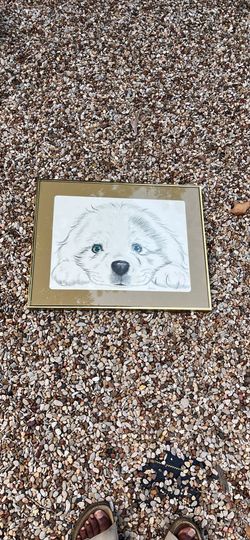 Beautiful Signed Image/lithograph/poster Of A Blue Eyed Labrador Or Golden Retriever  Puppy