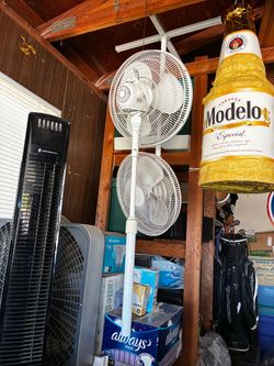 Pedestal fans