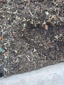 FREE CLEAN DIRT MUST PICK UP