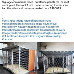 Dog Kennels Florida 🐕