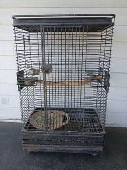 XL bird cage