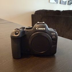 Canon R6 Mark II (<3000 Shutter Count)