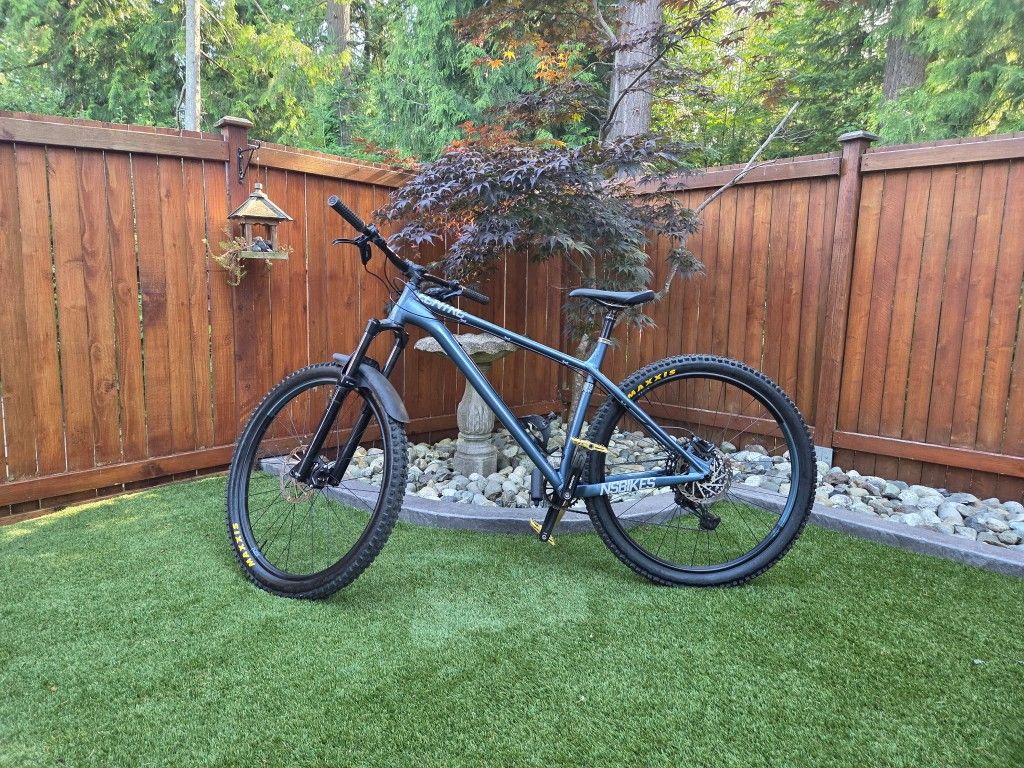 2022 NS Eccentric Alu 29 LARGE