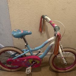 Kids Bicycle Wheel 16 Inches