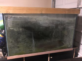 150 gal fish tank and more