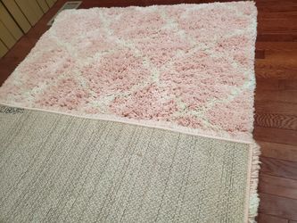 Area Rug 4ftx6ft Great Condition 