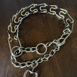 Dog collars/ accessories bundle