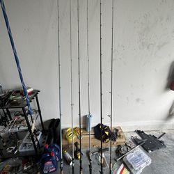 Bass Fishing Casting And Spinning Rods