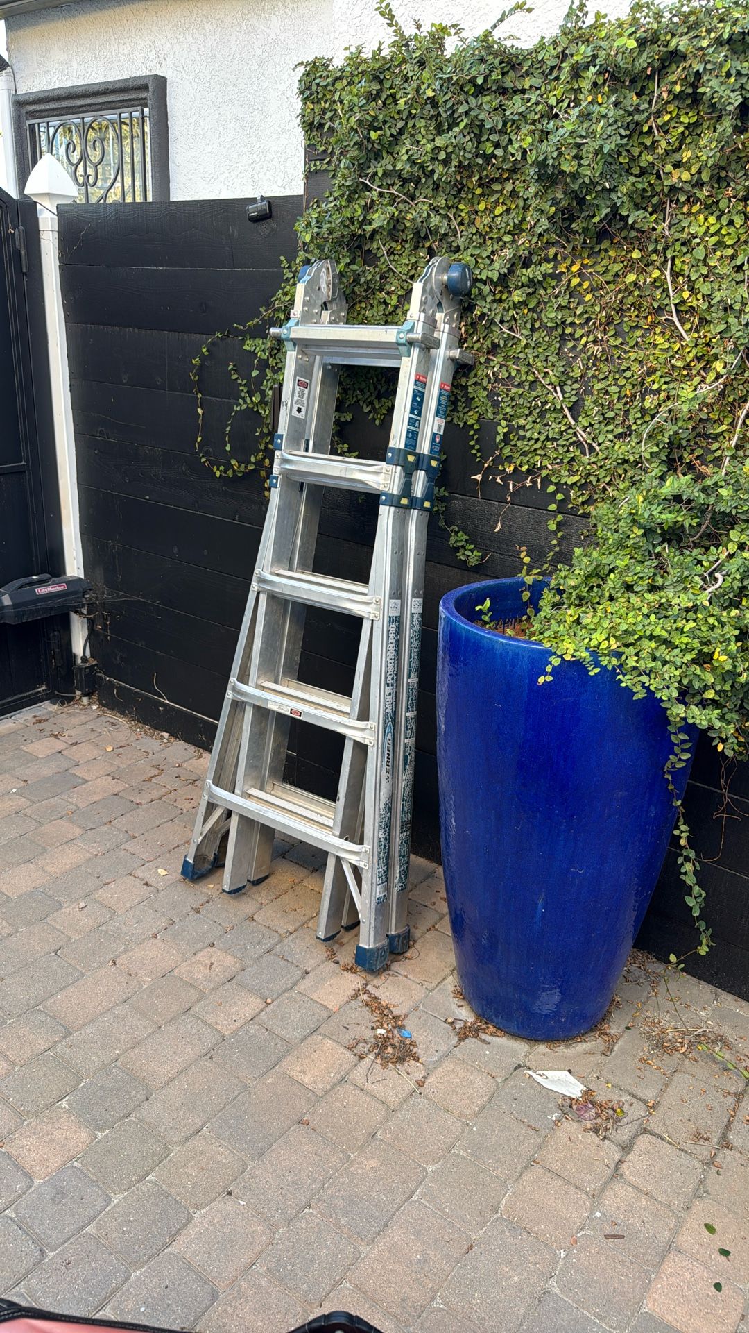 Ladder