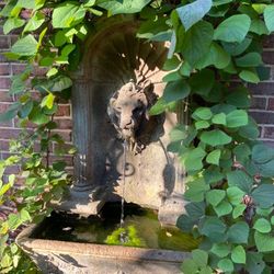 Garden Wall Fountain With Lion Head Spout