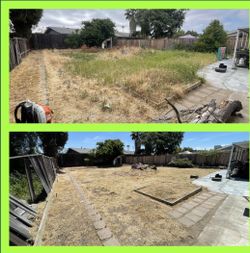 Lawn , grass