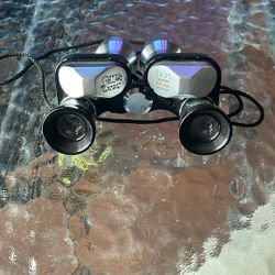 Vintage Plum Opera Glasses