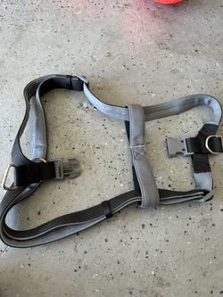 Dog Harness