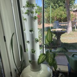 Tower Garden With Extras For Mom