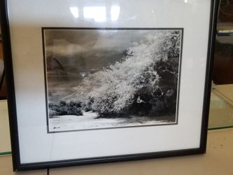 Modern wall art black and white framed photos from David Meyers