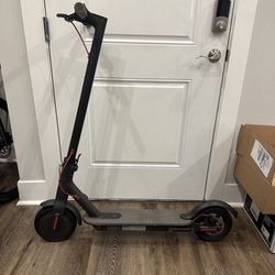 Electric Scooter