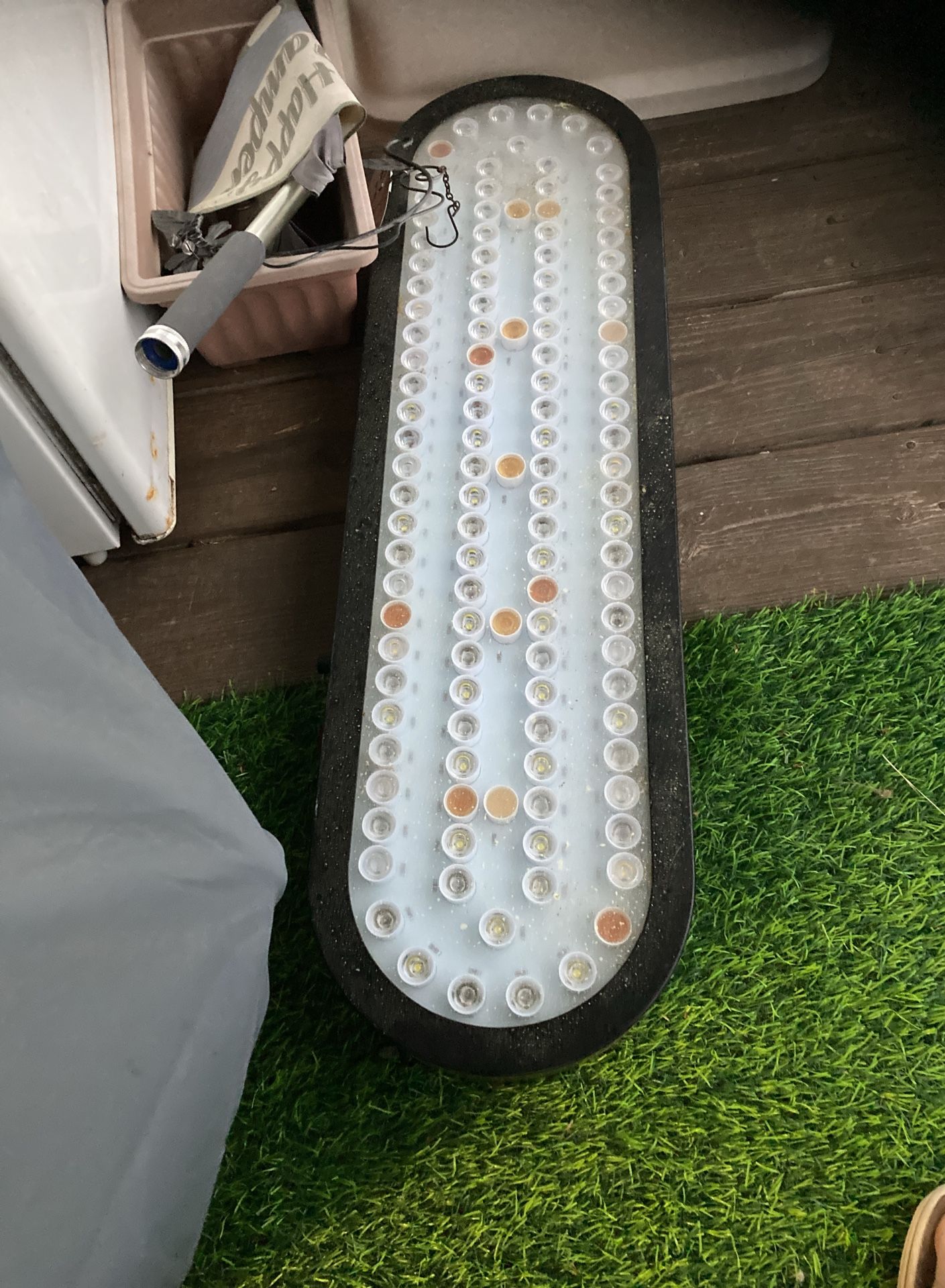 SB Reef Light