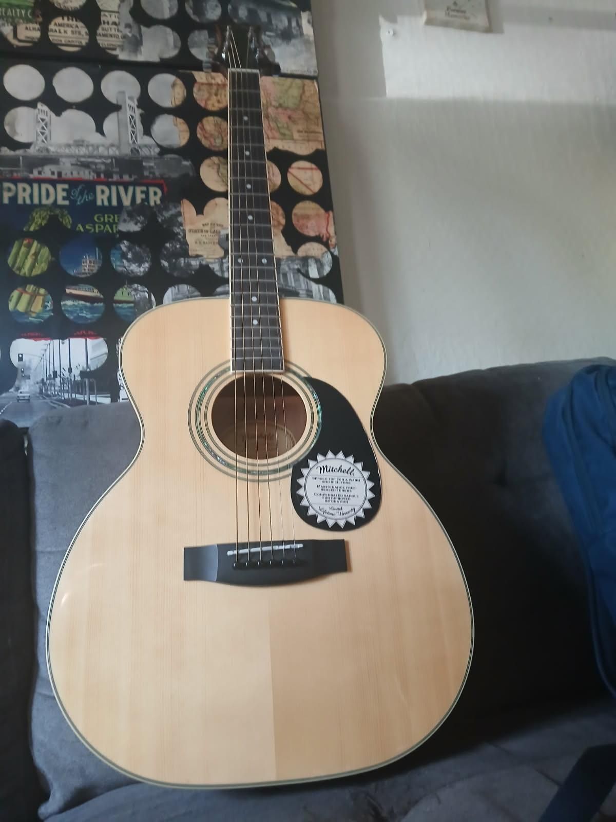 New Mitchell Guitar With Case