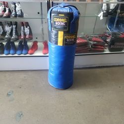 Punching Bag 