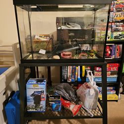 20 Gallon Fish Tank With Accessories 