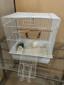 Bird Cage