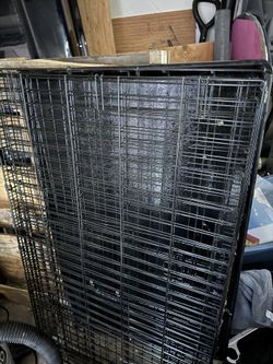 Amazon Basics XL Dog Crate