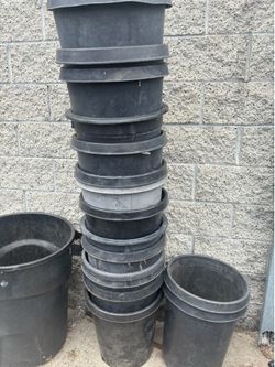 15 gal pots