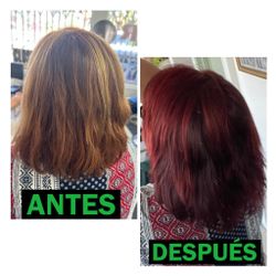 Shampoo Con Tinte Natural Y Keratin